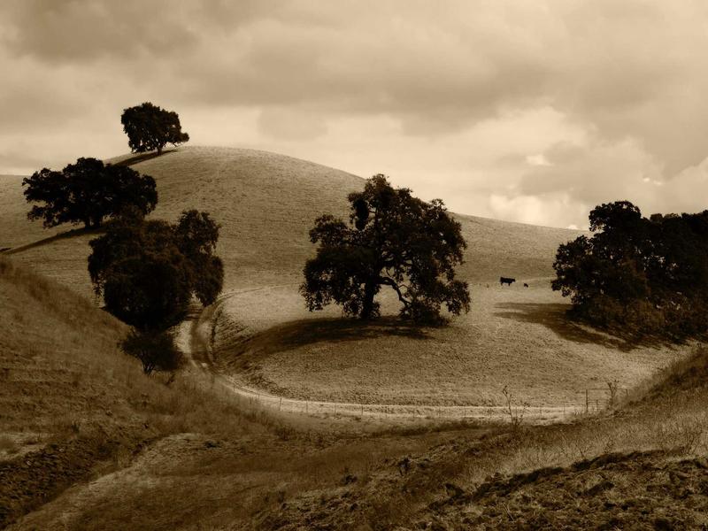 sudoku slice and dice screenshot 4